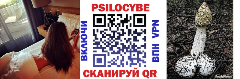 Псилоцибиновые грибы Psilocybe  Новороссийск 